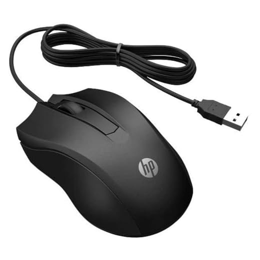 HP 100 6VY96AA