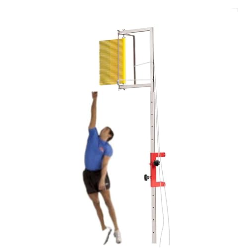 Poteau de saut vertical mural pour transformer votre garage en salle de basket