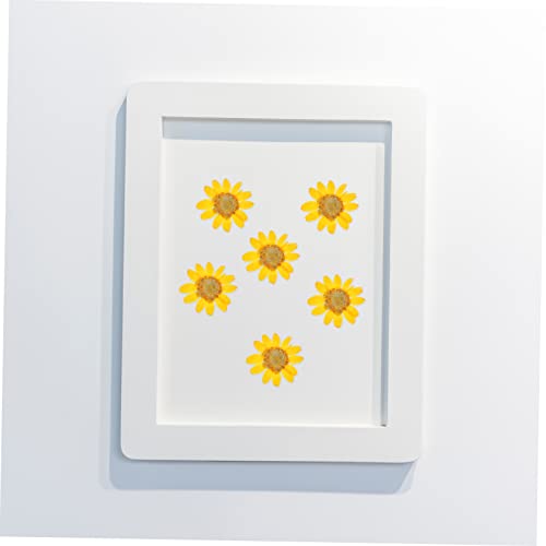 72pcs Flores Secas de Margarita para Manualidades miniatura 2
