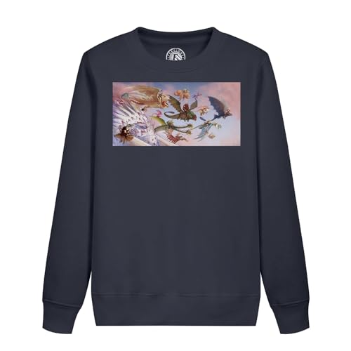 Sweatshirt dragon enfant le cadeau manga idéal pour un anniversaire
