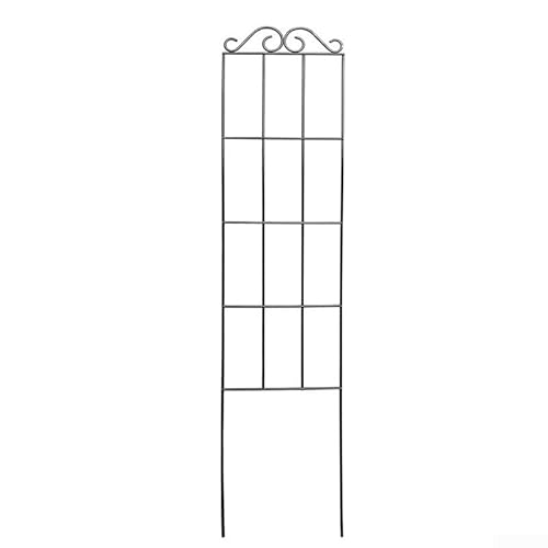 Lot de 3 supports d'escalade en fer pour plantes grimpantes verticales - 50 x 15 cm - Attaches et supports robustes pour plantes grimpantes et roses