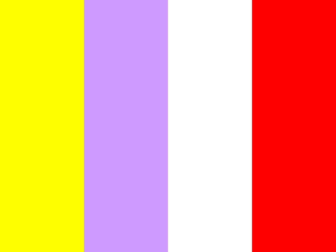 Drapeau XL POL Choroszcz idéal pour vos événements et décoration de jardin
