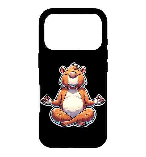 �J�s�o�� �ґz ���킢�� ���S�n�̗ǂ� �i�}�X�e ���K �J�s�o�� �X�}�z�P�[�X iPhone 17 Pro �p