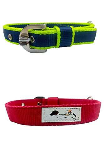 Forever99 Pet Shop Nylon Dog Collar Neck Belt for Medium Dogs Multi Color to fit All Adjustable Combo 2 Pack (B082BKN5HB) Amazon Price History, Amazon Price Tracker