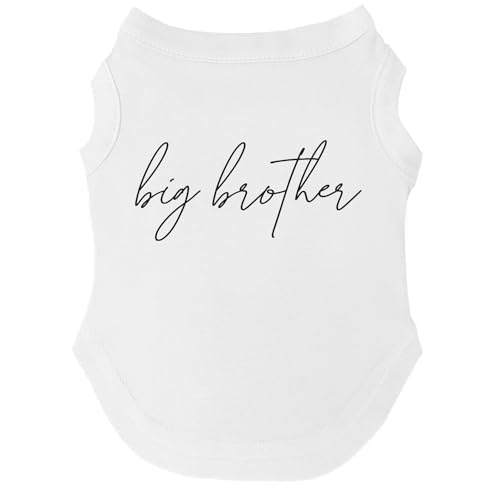 Big Brother {[z[ ʔI/xr[AiEXghbOTVc | m[X[u | qAA^p̃TCY(zCgA4X-[W 774)