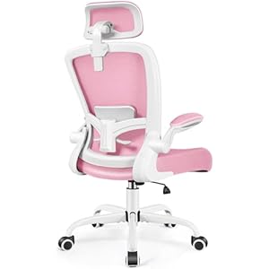 FelixKing Office Chair, Desk Chair with Adjustable Lumbar Support, Ergonomic Computer Chair with High Back and Armrest, Adjustable Height Gaming Chair Home Office Swivel Chair(Pink) Pink 918