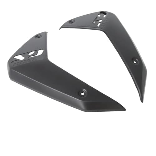 Carénage latéral en fibre de carbone pour radiateur R1300GS 2024