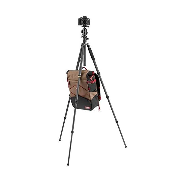 NATIONAL GEOGRAPHIC Reisestativ, 5-teilige Beine, Kohlefaser, kompatibel mit Canon, Nikon, Sony DSLR, 90 Säulen, Drehschlösser, 360-Grad-Kugelkopf, Schnellwechselplatte, 8 kg Tragkraft, Tragetasche – Bild 8