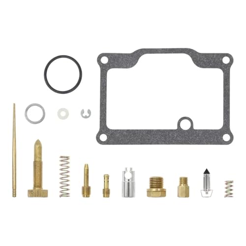 Kit réparation carburateur VTT 250cc pour Trail Blazer et Boss