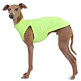 D Doggy Star Italian Greyhound Clothes Summer Cool T Shirts Rashguard Swimsuit Whippet for Dogs (L,Cool Neon Yellow)