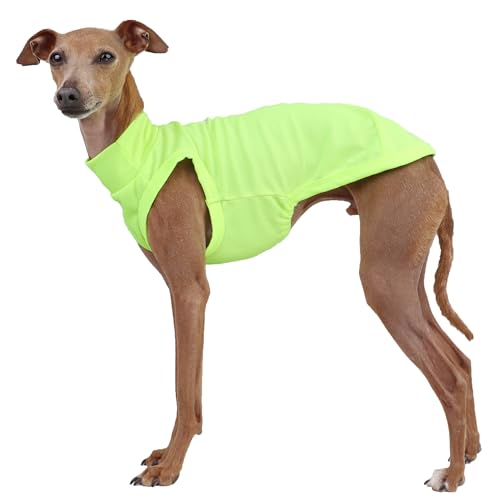 D Doggy Star Italian Greyhound Clothes Summer Cool T Shirts Rashguard Swimsuit Whippet for Dogs (S,Cool Neon Yellow) by doggystar - Used condition - US$14.58