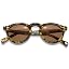 6-tortoise Frame Brown Lens