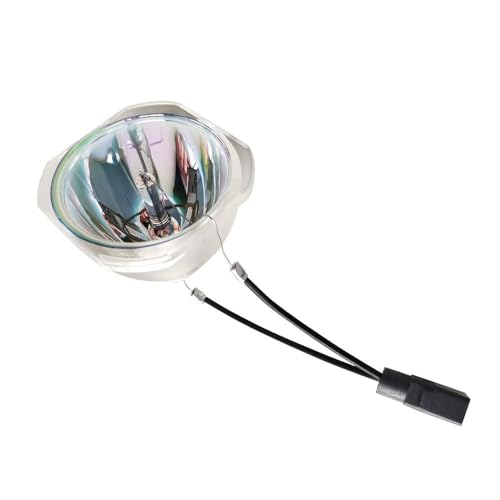 Ampoule de projecteur 1060 pour des soirées cinéma réussies en famille
