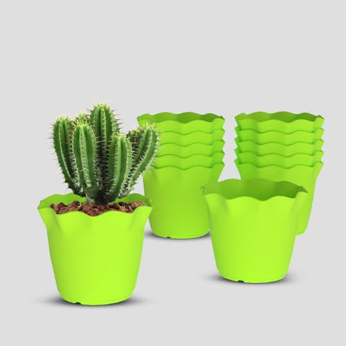 Image of YUCCABE ITALIA SHERA 6 Inch Plastic Flower Pot 12 Piece Set of Unbreakable Round Shape Planter for Home Garden Seedling, Indoor and Outdoor (Green)