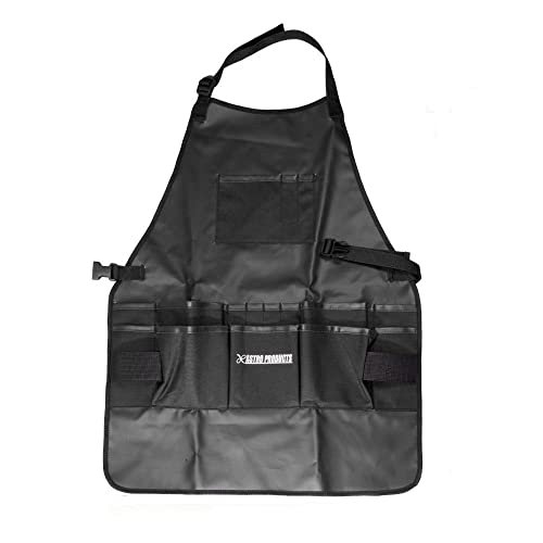 [AXgv_Nc] AP [NGv WA781