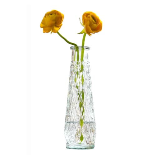 Jarrones pequeños vacíos de vidrio vintage altos cónicos de cuello estrecho, jarrones nórdicos de flores secas para el hogar, jarrón creativo decorativo de escritorio para cocina, sala de estar,