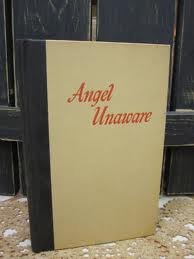 Angel Unaware: A Touching Story of Love and Loss