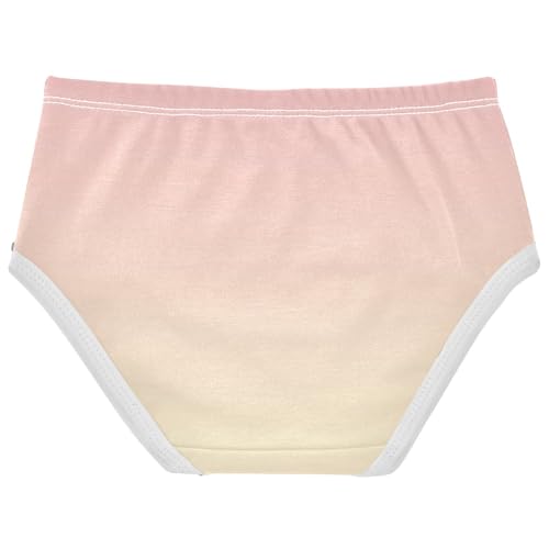 Joisal Toddlers Underwear Floral 2t Cotton Panties Little Girl Durable Briefs Undies Kids Blush Pink Cream Gradient2