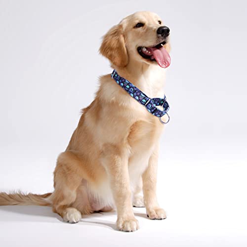 haoyueer Heavy Duty Nylon Adjustable Martingale Dog Collar for Walking Training Boy and Girl Dogs (XL:53-62CM, Skulls) - Image 3