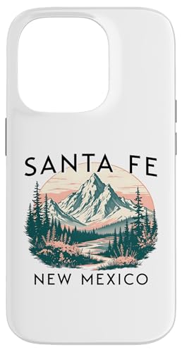 �T���^�t�F �X�}�z�P�[�X iPhone 14 Pro �p