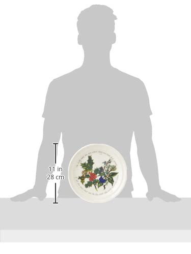 Amazon.com | Portmeirion Holly and Ivy Dinner Plates, Set of 6