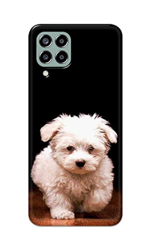 Image of PRINTFIDAA� Printed Hard Back Cover Case for Samsung Galaxy M33 5G Back Cover (Puppy Dog) -2808