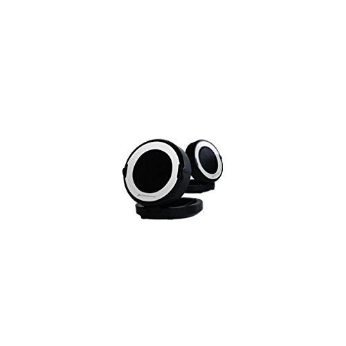 Preisvergleich Produktbild PHOENIX Technologies - ALTAVOCES PORTATILES PHOENIX 2.0 USB Negro