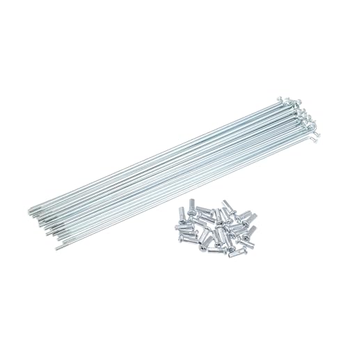 INFINAUTO 24 13G J xh ] bLX|[N 214mm 8.5C` TCNX|[N ^Jjbv X`[X|[N }EeoCN MTBp X^CbVȃfUC