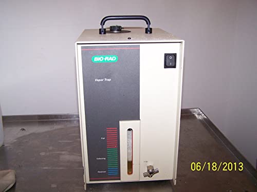 New England/Massachusetts P-Trap