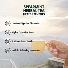 Image of Tea Treasure Spearmint Herbal Tea for PCOS PCOD - 100gm | Hormonal Balance, Reduces Facial Hair & Acne, Digestion Support | Caffeine Free Mint Tea