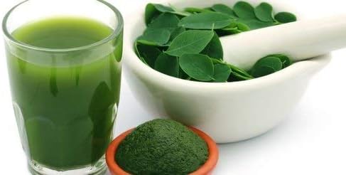 Herbal Magic's Organic Moringa Leaf Powder Raw and Pure Whole Leaves, Green Superfood for Smoothies Shakes, Baking - Image 3
