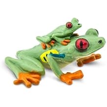 Safari Ltd. Red-Eyed Tree Frog with Baby - Hand-Painted, Lifelike 2.75" Model Figure - Fun Educational Toy for Boys, Girls & Kids Ages 3+