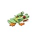 Safari Ltd. Red Eyed Tree Frog - Realistic Hand Painted Toy Figurine Model - Quality Construction from Phthalate, Lead and BPA Free Materials - for Ages 3 and Up