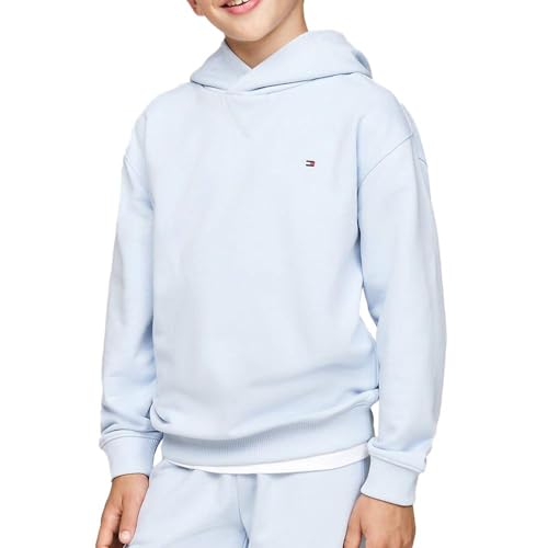 Image of Tommy Hilfiger Timeless Boys' Blue Sweatshirt, Blue, 2 Years