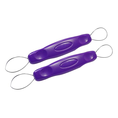 VERDANVERSE 2個 ステンレス製ぶどう皮むき器 ダブルヘッド設計で大 小ぶどう対応 抗菌持ち手付き 家用果物皮剥きツール 速効便利で手軽な調理