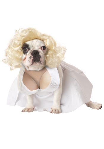 Calico, Silver Screen Starlet Dog Costume X-Small