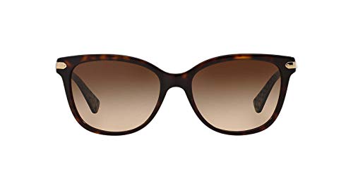 Coach Women's Hc8132 Cat Eye Sunglasses2