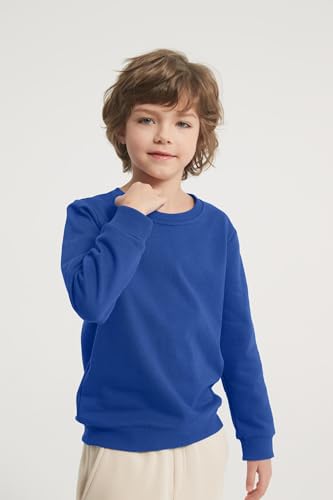3-Pack Boys Crewneck Sweatshirt Long Sleeve Cotton Pullover Tops Thin Sweatshirts for Kids（2-12 Years)4