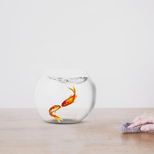 Ipetboom Recipientes hidropônicos decoração aquário aquário aquário para peixe betta decoração de me