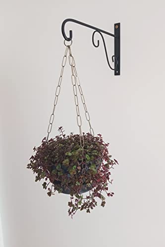 Kit Mão Francesa Suporte de Parede Floreira em Ferro 4 Peças na cor Preta