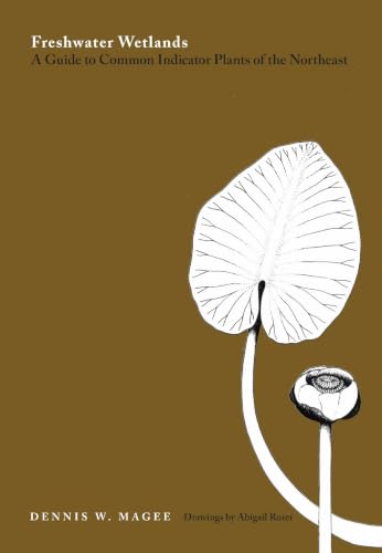 Freshwater Wetlands: A Guide to Common Indicator Plants