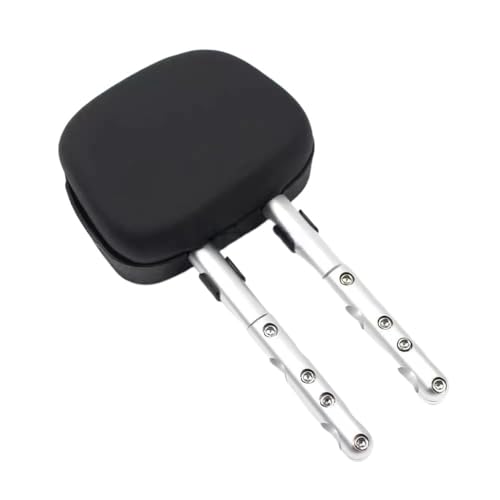 Support de dossier arrière moto avec porte-bagages robuste pour Sprint 150