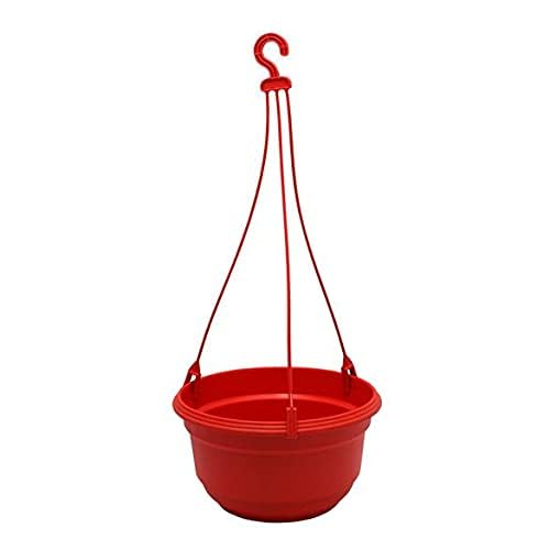 Praha Bird Food Feeder Water Feeder Hanging Bowl for Birds,Home,Balcony and Garden (H606) (B09TFQ232X) Amazon Price History, Amazon Price Tracker