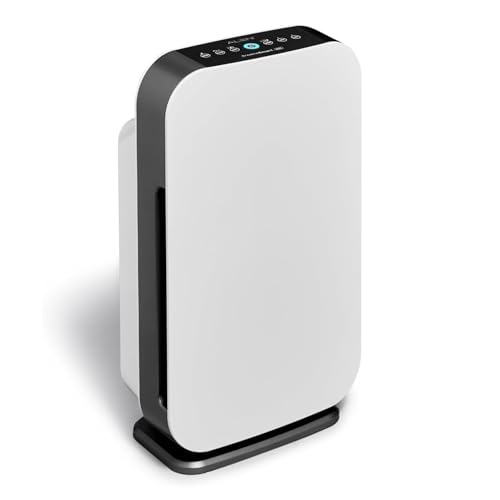 Alen BreatheSmart 35i Pure HEPA