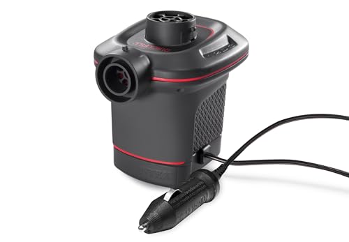 Intex 66656WA DC Electric Pump
