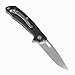 ALBATROSS FK005 EDC Pocket Folding Knife With Liner Lock,D2 Tool Steel Blade, G10 Handle-4 Inch Closed,Gifts/Collections