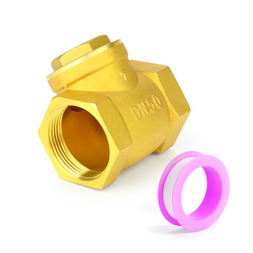 ERGAOBOY 1 pieza de válvula de retención oscilante de latón, válvula antirretorno hembra BSP de 2', accesorio de fontanería para evitar el reflujo del medio para aceite, agua, gas y aire