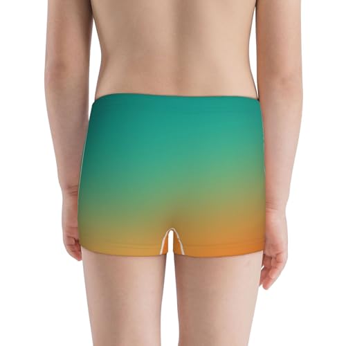 Boys' Cotton Boxer Brief Soft Underwear-Orange To Teal Gradient13