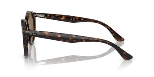 Ray-Ban Women's RB7680S Larry Round Sunglasses3