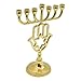 Stylish & Exquisites Hanukkah Candlestick 7Branch Fit All Standard Artistic Holder for Table Centerpiece